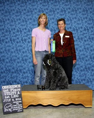 Kerry Blue Terrier Gracie wins first UD Leg
